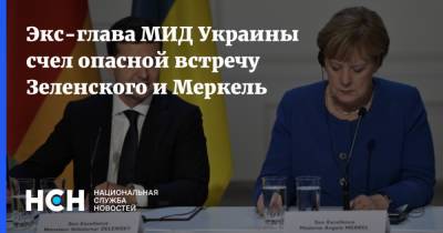 Экс-глава МИД Украины счел опасной встречу Зеленского и Меркель