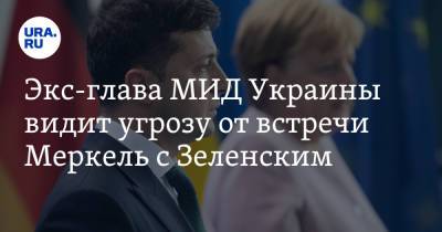 Экс-глава МИД Украины видит угрозу от встречи Меркель с Зеленским