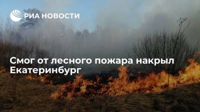 Смог от лесного пожара в Первоуральском округе накрыл Екатеринбург