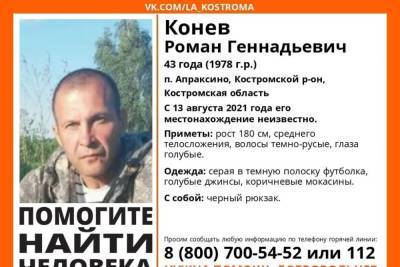 Костромские волонтеры ищут пропавшего жителя поселка Апраксино