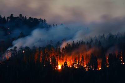 В Брянской области произошло 27 пожаров в минувший вторник