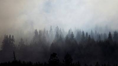 В Башкирии продолжают действовать 12 очагов лесных пожаров