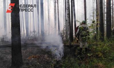 МЧС: лес под Первоуральском продолжает гореть