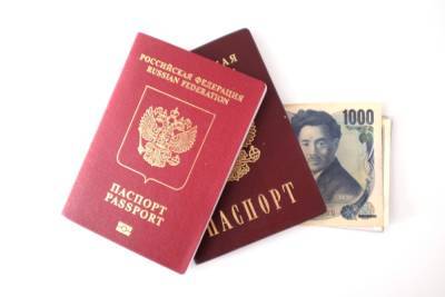 У россиян вместо бумажного паспорта появятся смарт-карты
