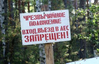 Посещение лесов вновь запрещено в большинстве районов Удмуртии из-за жары