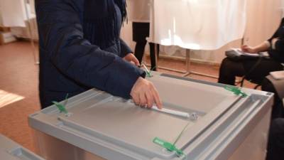 Ветренко назвала устаревшей систему сбора подписей для участия в выборах