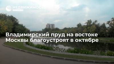 Владимирский пруд в районе Перово на востоке Москвы благоустроят в октябре 2021 года