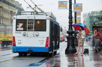 Тыловая часть циклона влияет на погоду в Петербурге 18 августа