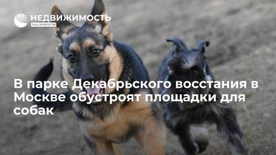 В парке Декабрьского восстания в Москве обустроят площадки для собак
