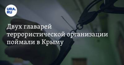 Двух главарей террористической организации поймали в Крыму