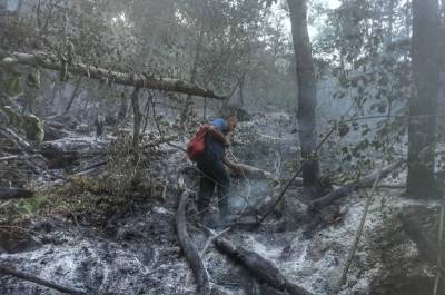 МЧС: лесной пожар около лагеря «Горное ущелье» локализован на площади 45 гектаров - znak.com - Башкирия - район Абзелиловский