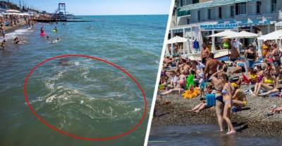 «Море очень грязное и непонятные «жировые» пятна, я бы не пошла сюда купаться»: туристка рассказала о пляже популярного курорта