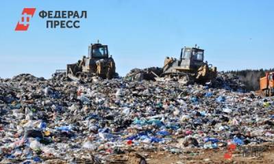Названы самые грязные районы Петербурга: почему город не может избавиться от свалок