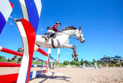 Организаторы конных турниров в Ленобласти ищут профессиональных волонтеров