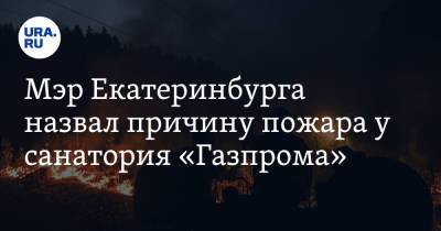 Мэр Екатеринбурга назвал причину пожара у санатория «Газпрома»