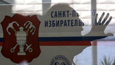 Парламент Петербурга отстранил члена ГИК Жданову за месяц до выборов