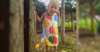В Смоленской области пропала двухлетняя девочка