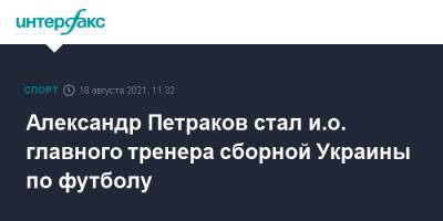 Александр Петраков стал и.о. главного тренера сборной Украины по футболу