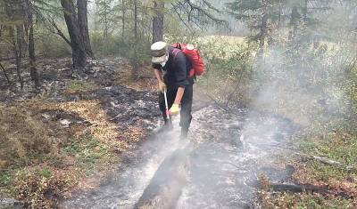 В МЧС сообщили, что лесные пожары больше не угрожают городам и селам Якутии