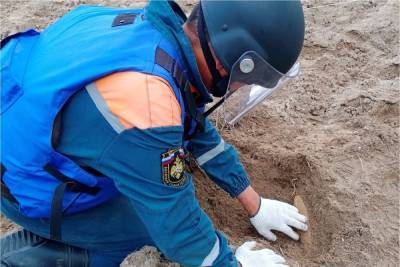 В Тверской области саперы в ручном режиме исследовали 30 гектаров земли
