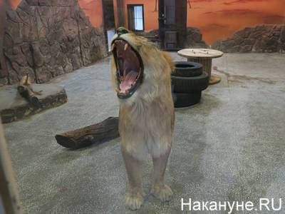 Екатеринбургский зоопарк объявил сбор излишков урожая от горожан для животных
