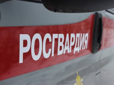 В Челябинске парень с пистолетом напал на водителя троллейбуса