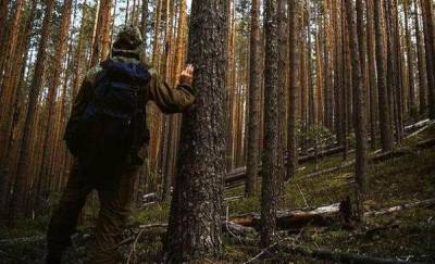 В Тюменской области ищут мужчину, который не вернулся из леса