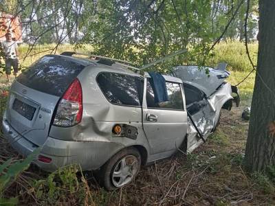 В Семикаракорском районе в ДТП погиб водитель "Лады"