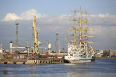 Стивидоры выступили против переноса Большого порта из Петербурга в Усть-Лугу