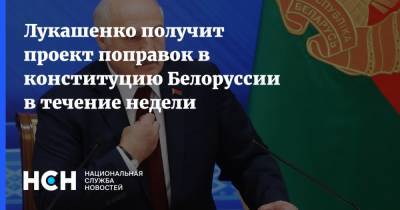 Лукашенко получит проект поправок в конституцию Белоруссии в течение недели
