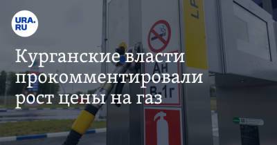 Курганские власти прокомментировали рост цены на газ