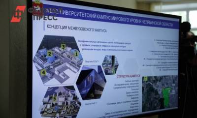 Челябинский межуниверситетский кампус могут спроектировать иностранцы