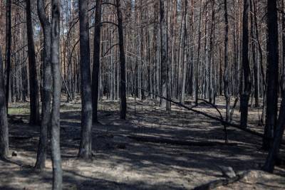 На юге Челябинской области создают две новые пожарные части