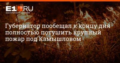 Губернатор пообещал к концу дня полностью потушить крупный пожар под Камышловом