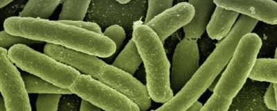 Раскрыты причины развития хронических бактериальных инфекций