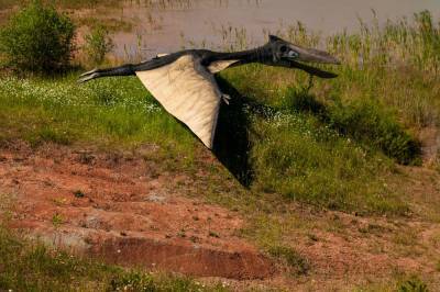 В Рязанской области нашли первые следы летающих ящеров