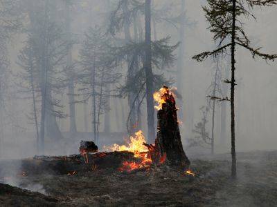 В МЧС заявили о "кардинальном переломе" в борьбе с пожарами в Якутии