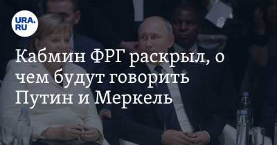 Кабмин ФРГ раскрыл, о чем будут говорить Путин и Меркель