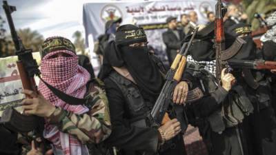 The Sun: Талибан* предложил Аль-Каиде* создать в Афганистане «колыбель джихада»