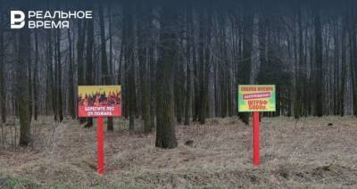В соцсетях опубликовали видео лесного пожара в Татарстане