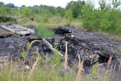 В Тверской области по земле текут битумные ручьи