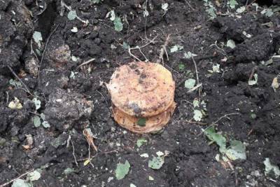 Боеприпасы времён войны обнаружили в Псковской области