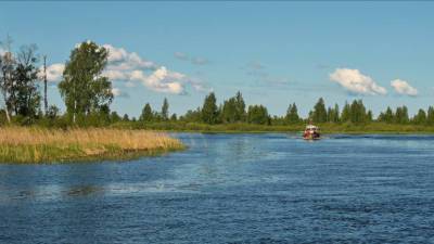 В Псковской области планируют установить место Ледового побоища