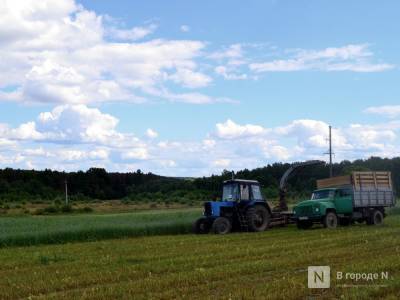 Более миллиона тонн зерна собрали нижегородские аграрии