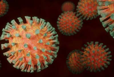 Эпидемиолог объяснил невосприимчивость некоторых людей к коронавирусу