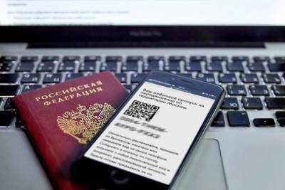 «Общество — под контроль»: насколько безопасен цифровой паспорт и зачем он россиянам