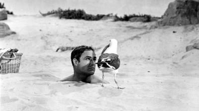 20 редких архивных фото знаменитостей на пляже