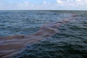 Нефть потекла в Черное море