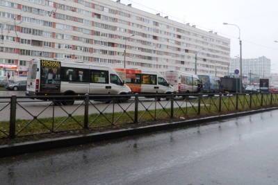 Жители Московского района попросили найти альтернативу коммерческому автобусу К-213