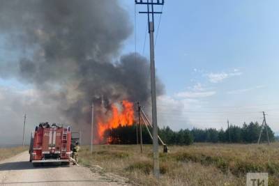 В пожаре в Татарстане сгорели 5,5 тысячи кв. метров леса